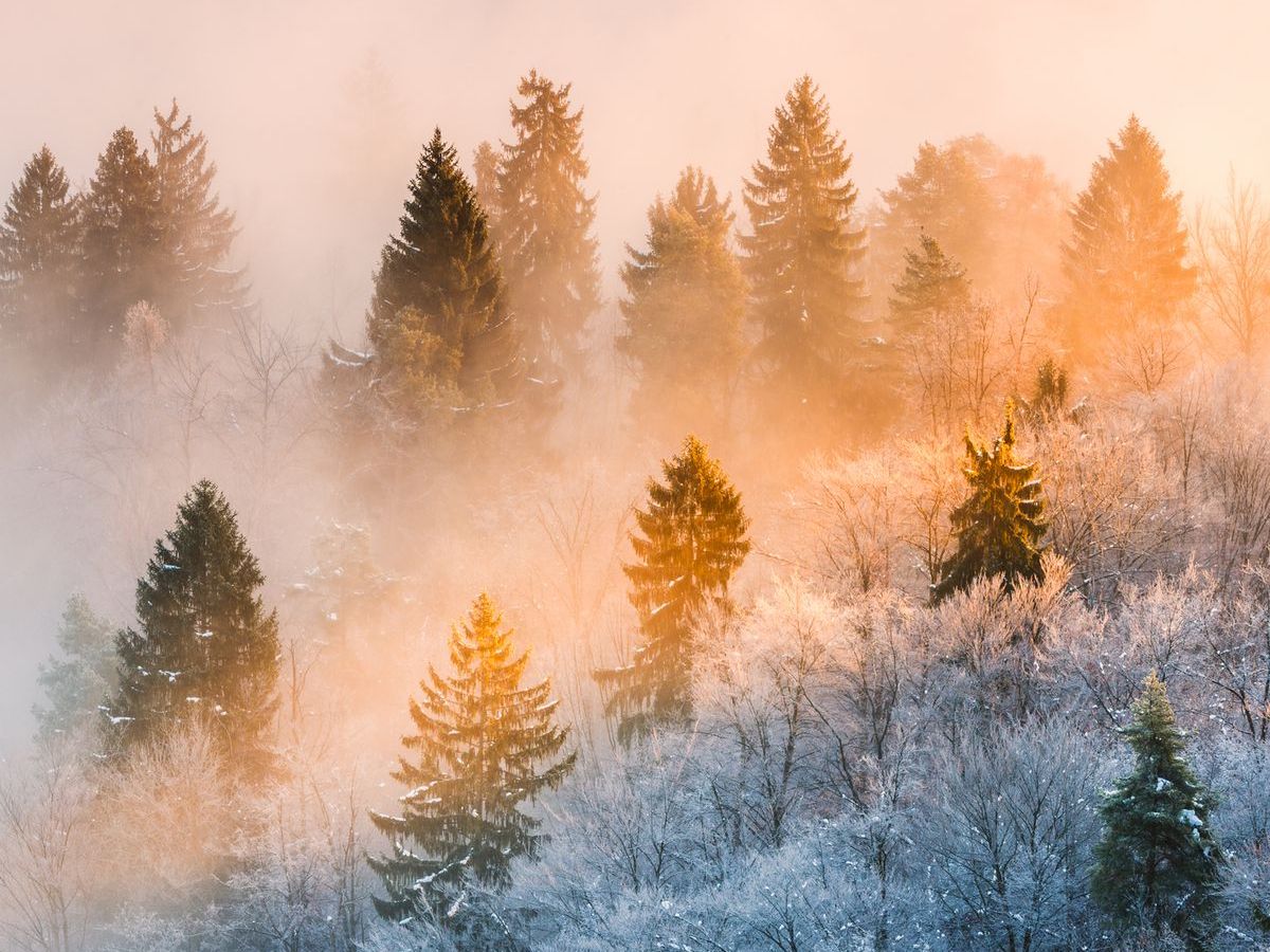 WINTER NEWSLETTER