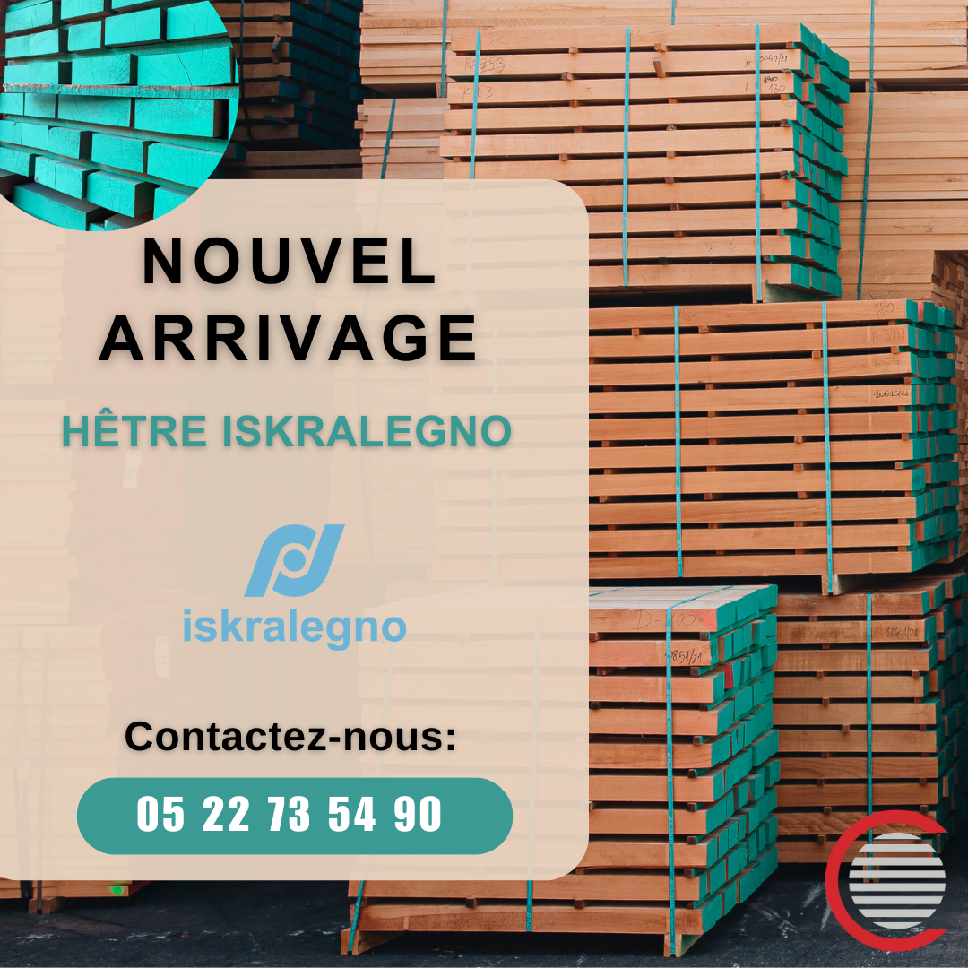 hêtre nouvel arrivage