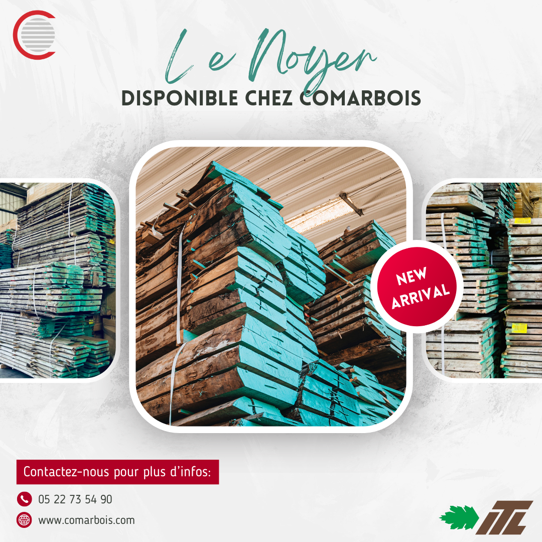 Nouvel arrivage Noyer chez Comarbois