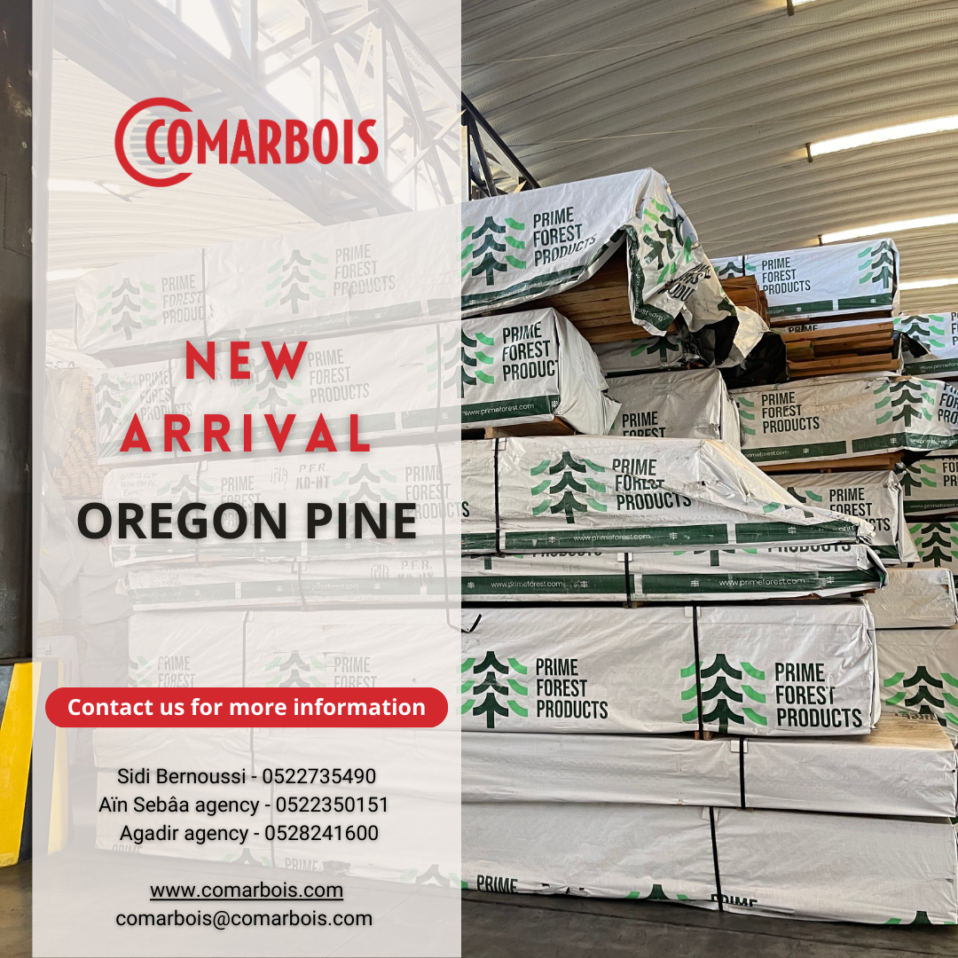 Oregon pine new arrival